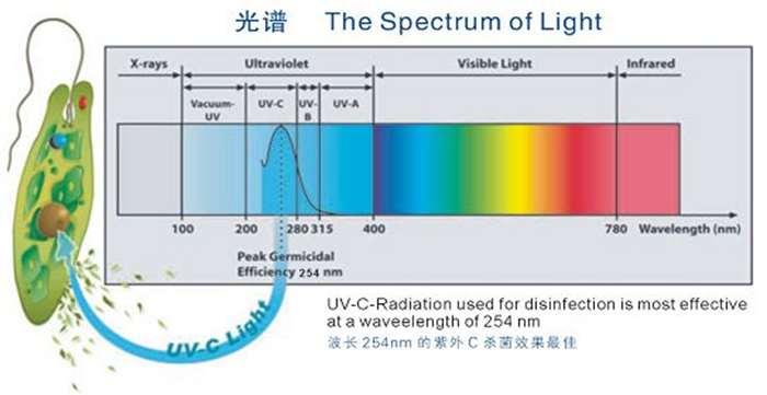科普！紫外線殺菌燈對人體影響及正確使用方法